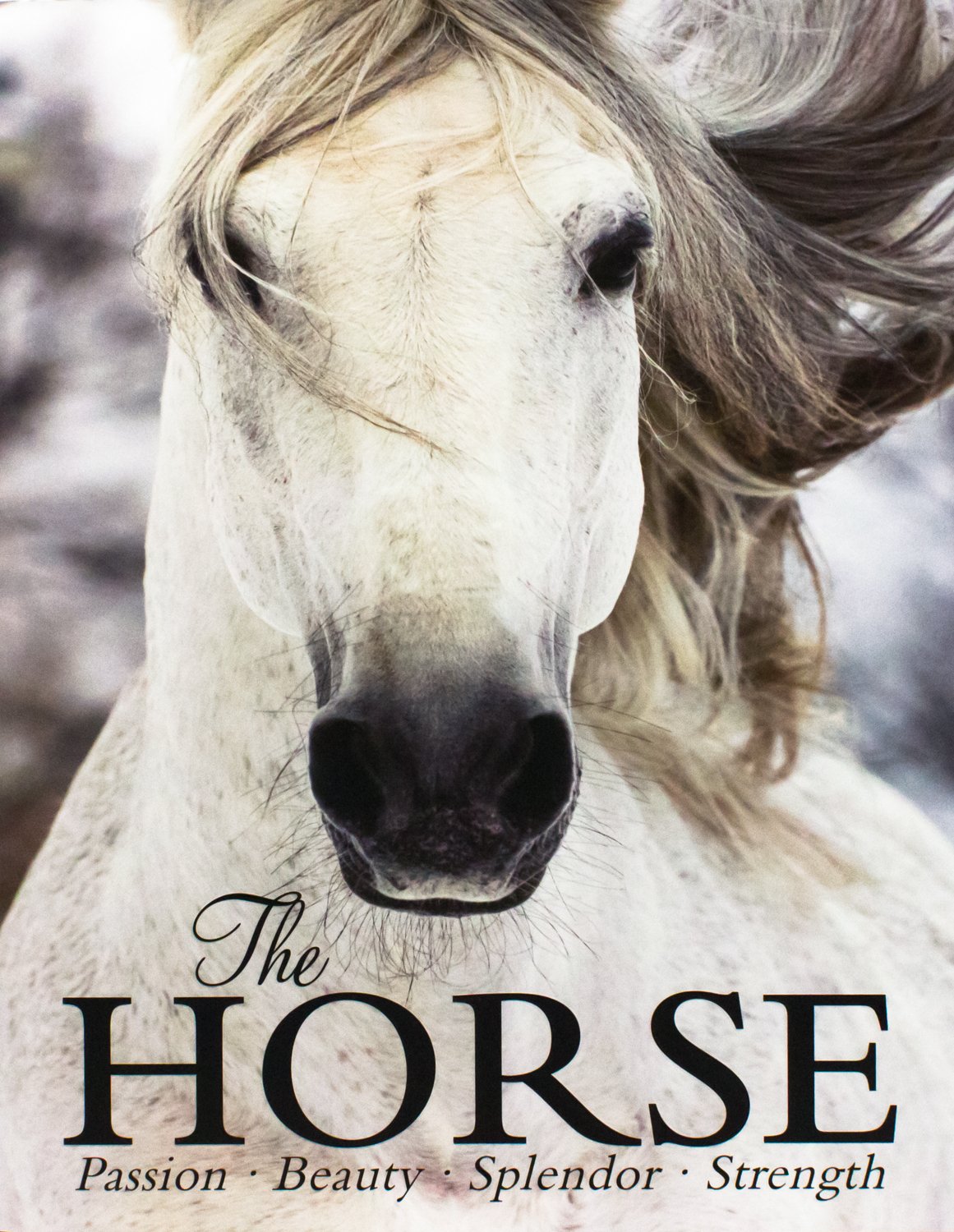 The Horse