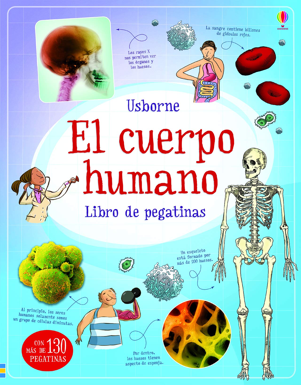 El cuerpo humano
