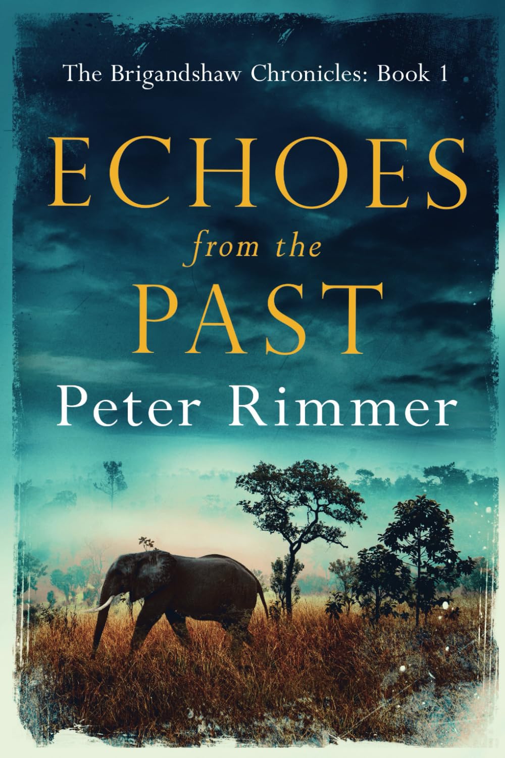 Echoes from The Past: a Captivating Historical Come to Life Series