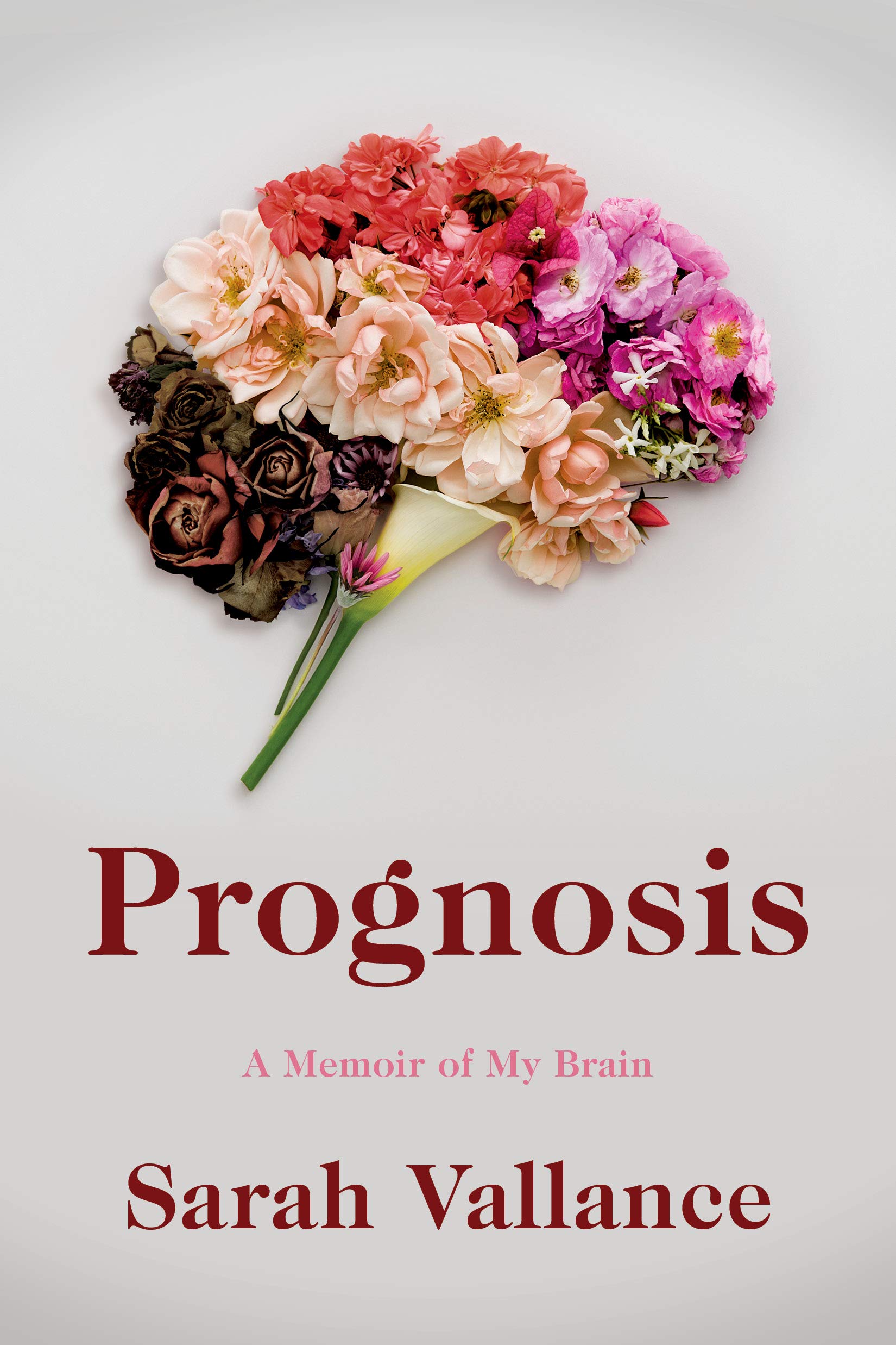 Prognosis: a Memoir of My Brain