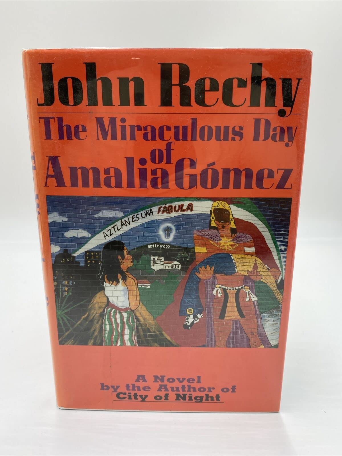 The Miraculous Day of Amalia Gomez: a Novel