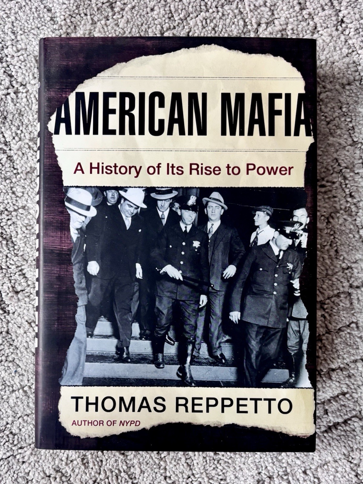 American Mafia: A History of Its Rise to Power