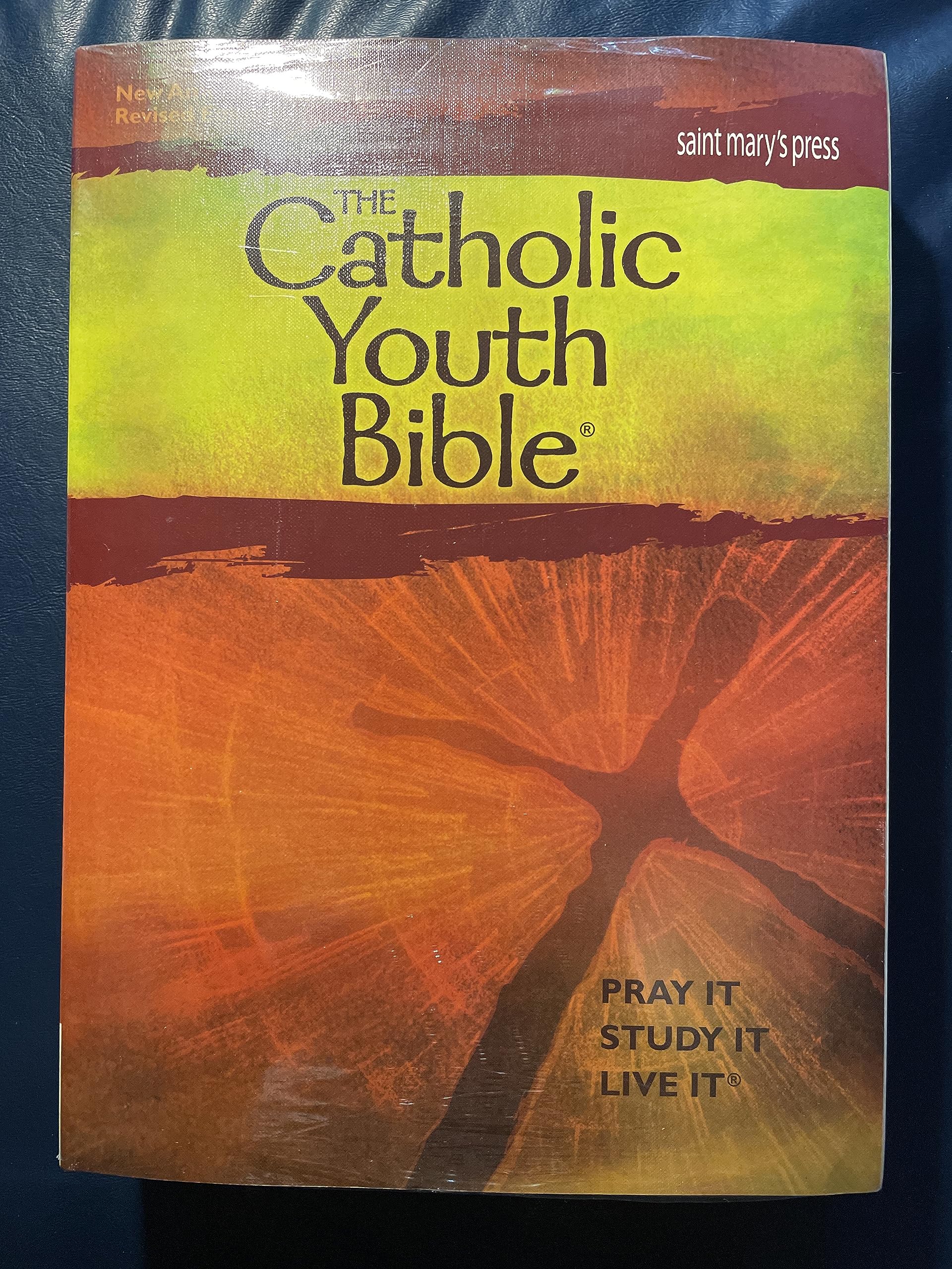 The Catholic Youth Bible