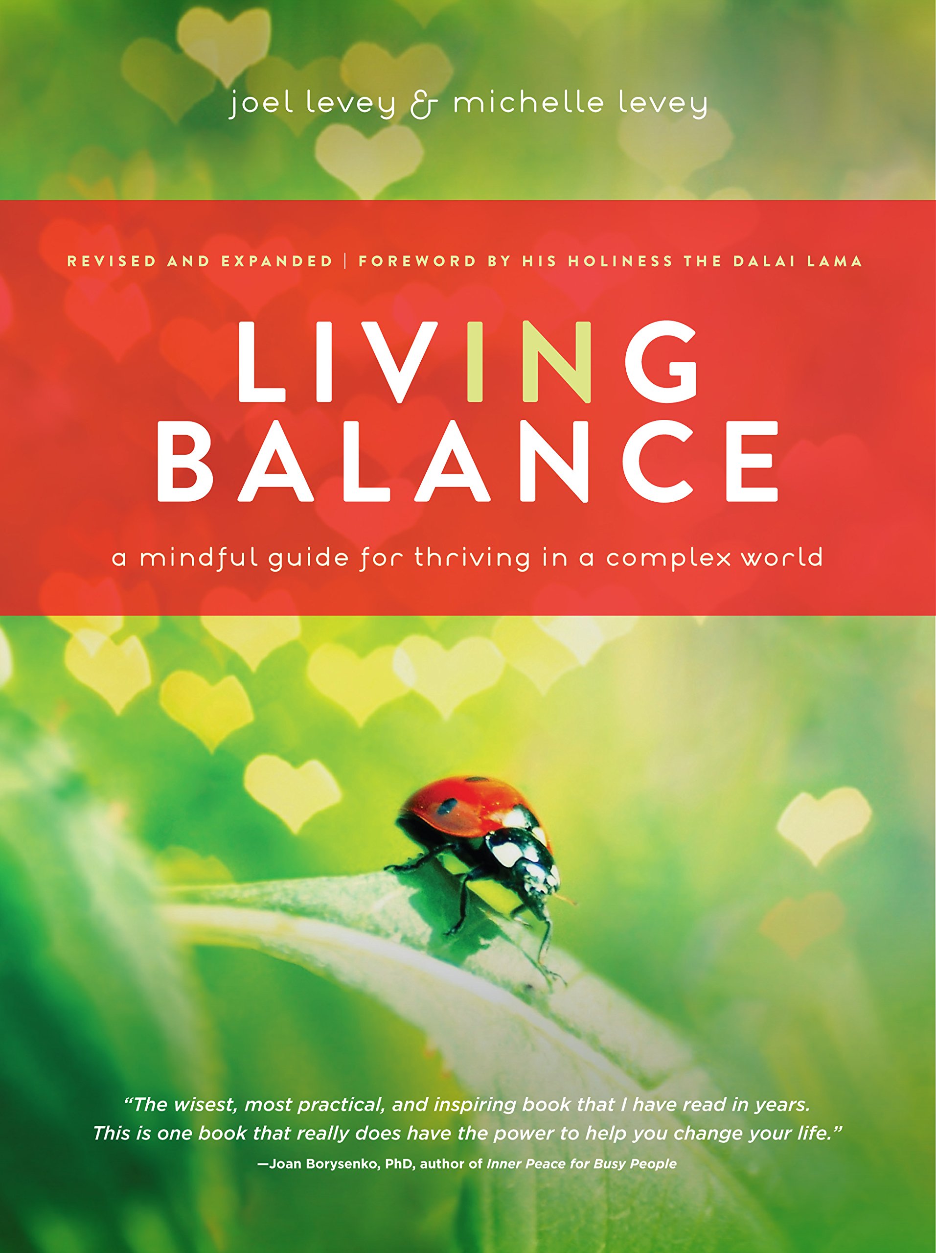 Living in Balance: a Mindful Guide for Thiving in a Complex World