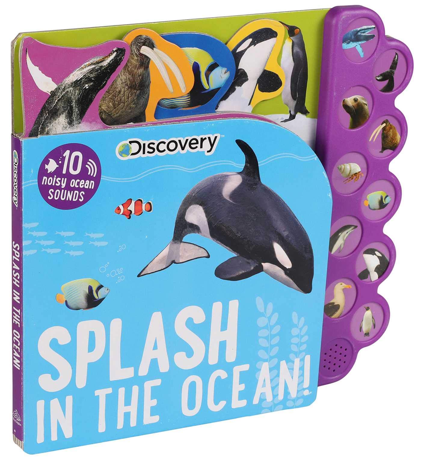 Discovery: Splash in The Ocean!