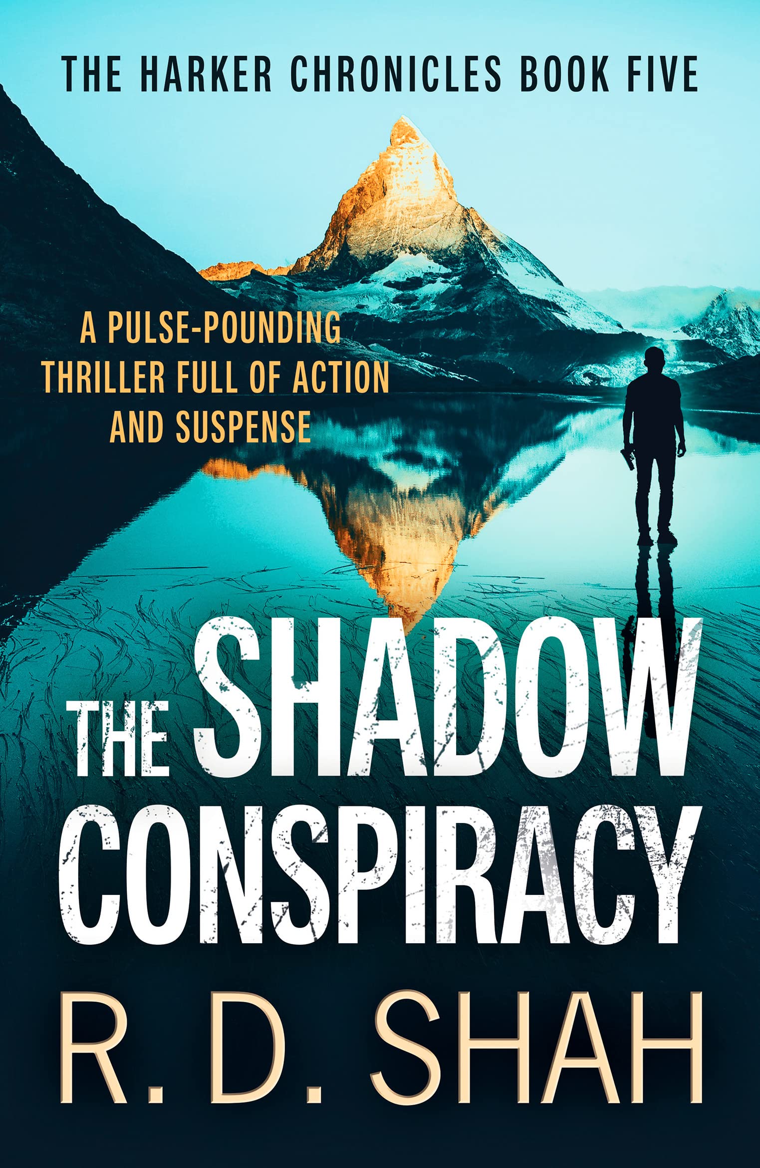 The Shadow Conspiracy : 5