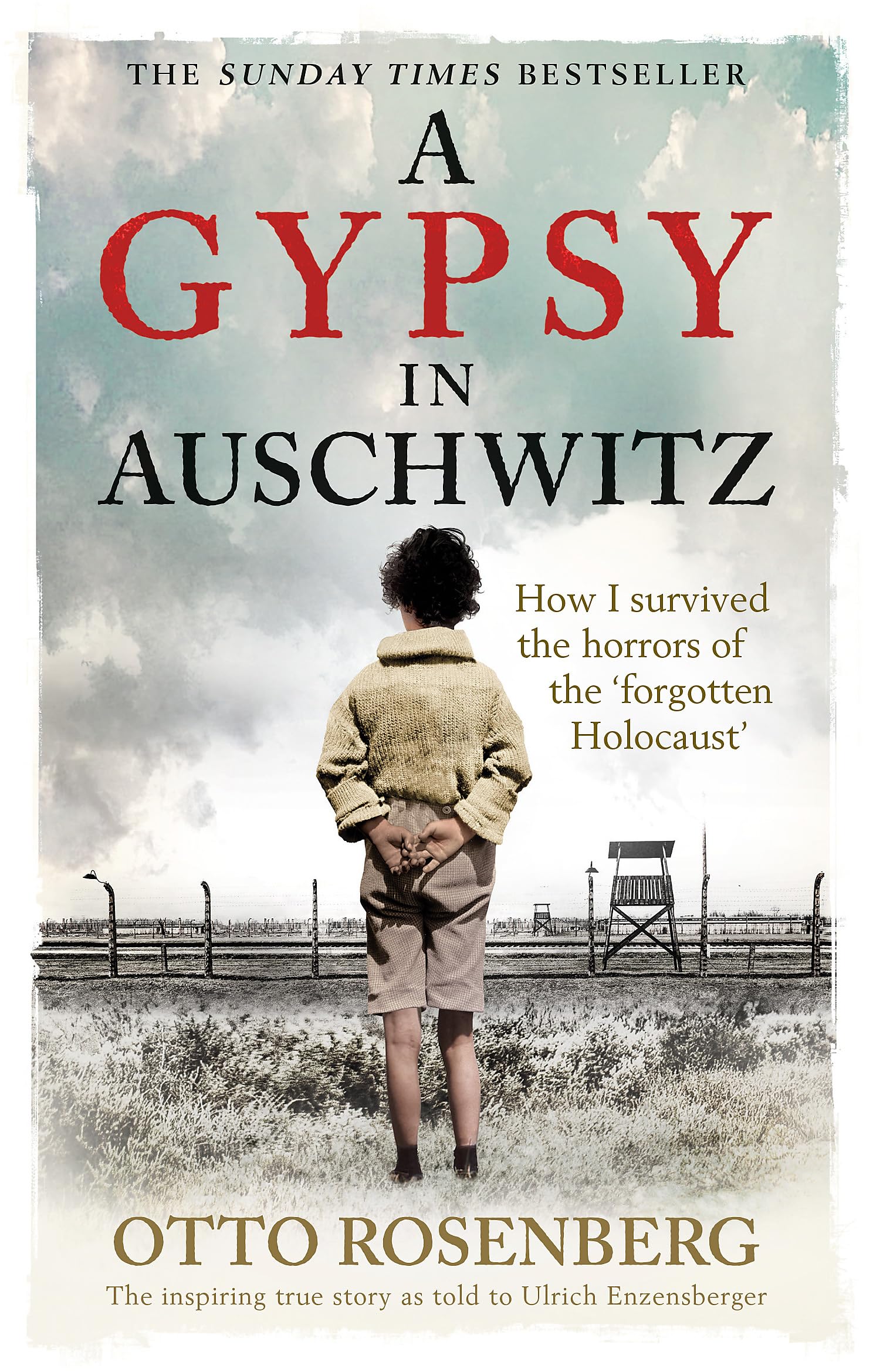 A Gypsy in Auschwitz: How I Survived The Horrors of The Âforgotten Holocaustâ