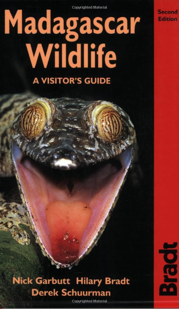 Madagascar Wildlife: a Visitor's Guide