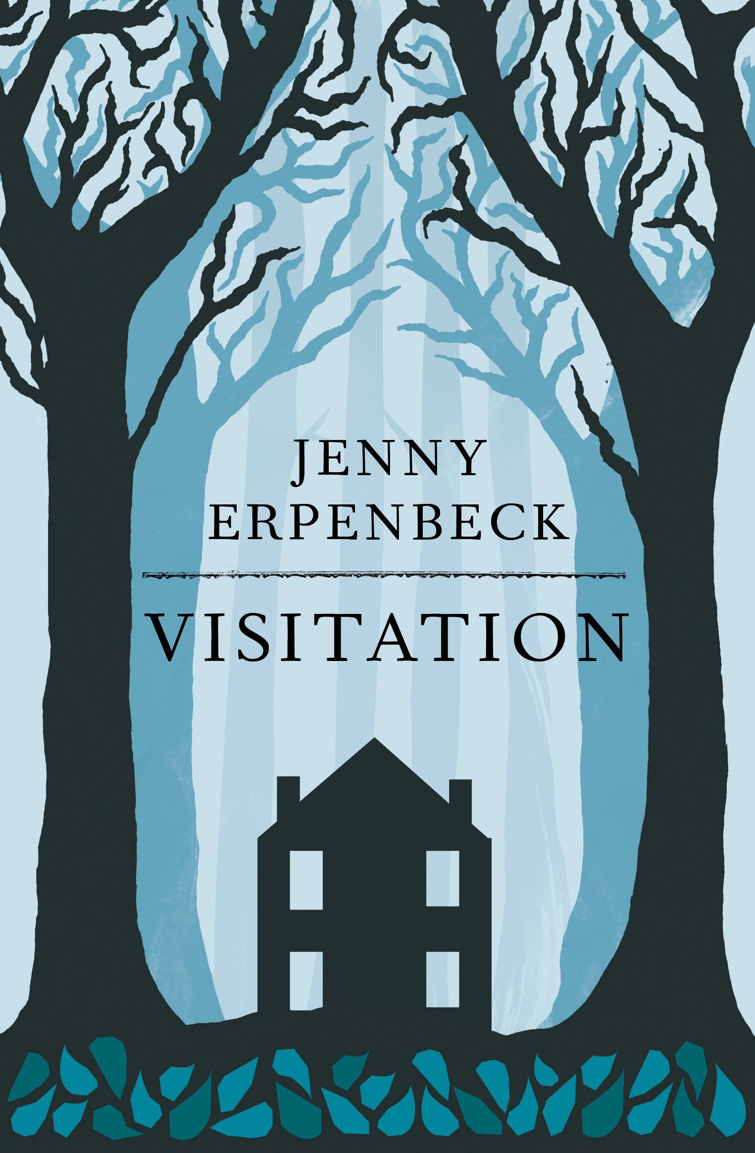 Visitation. Jenny Erpenbeck