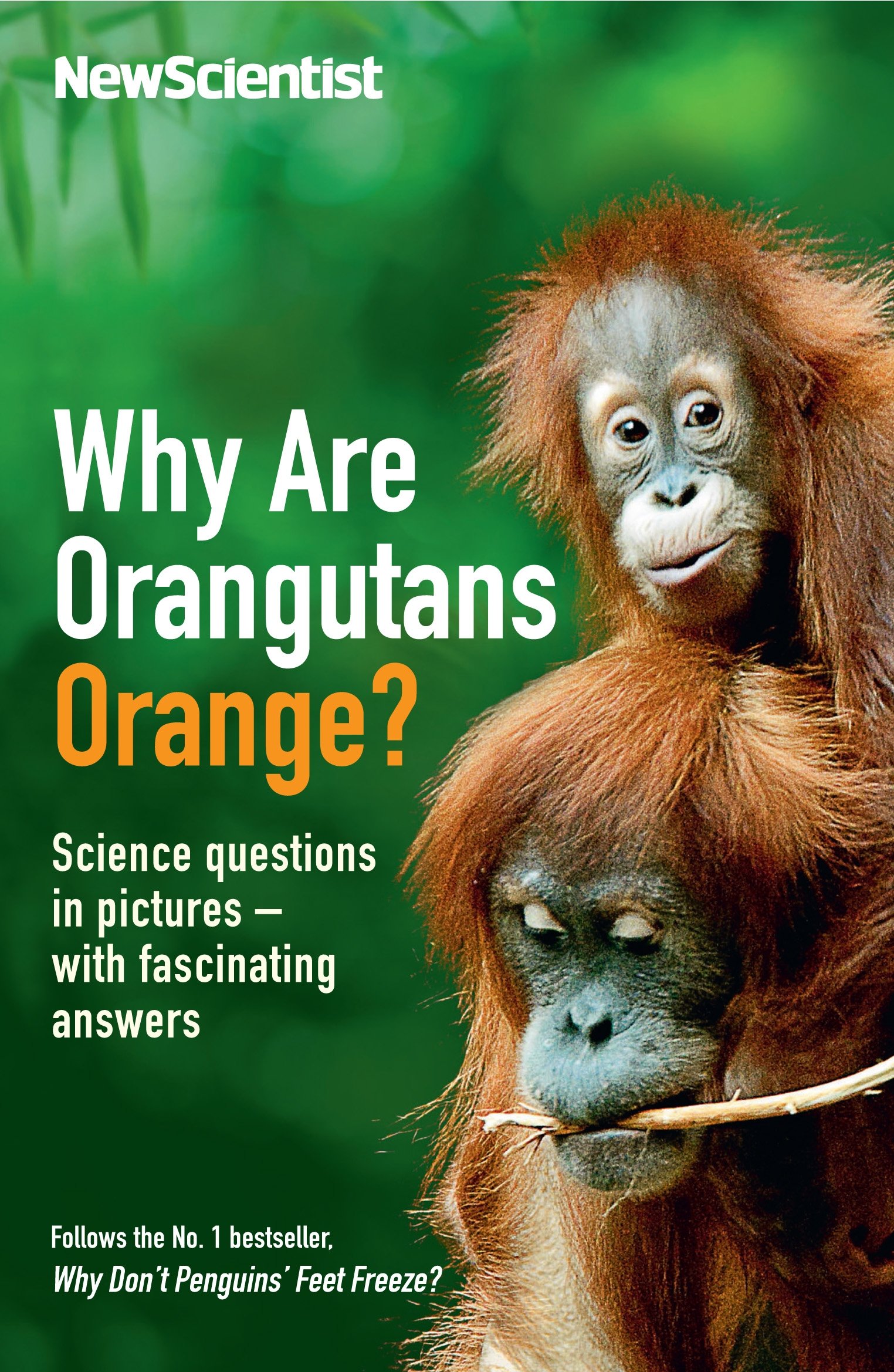 Why Are Orangutans Orange?: Science Puzzles in Pictures - with Fascinating Answers