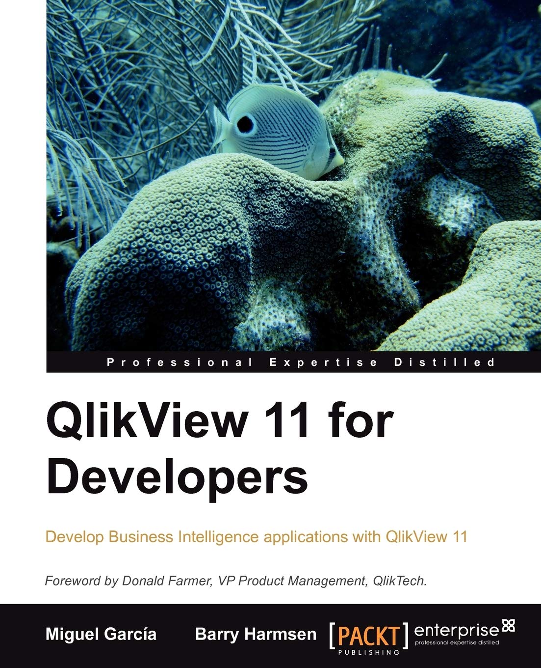 Qlikview 11 for Developers: Effective Analytics Techniques for Modern Business Intelligence: This Book Is Smartly Built around a Practical Case Study . Using Qlikview. a Superb Hands-on Guide