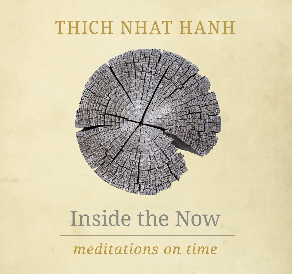 Inside The Now: Meditations on Time