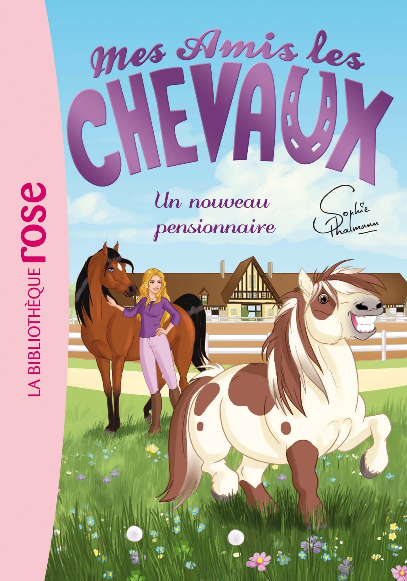 Mes Amis Les Chevaux 1/un Nouveau Pensionnaire