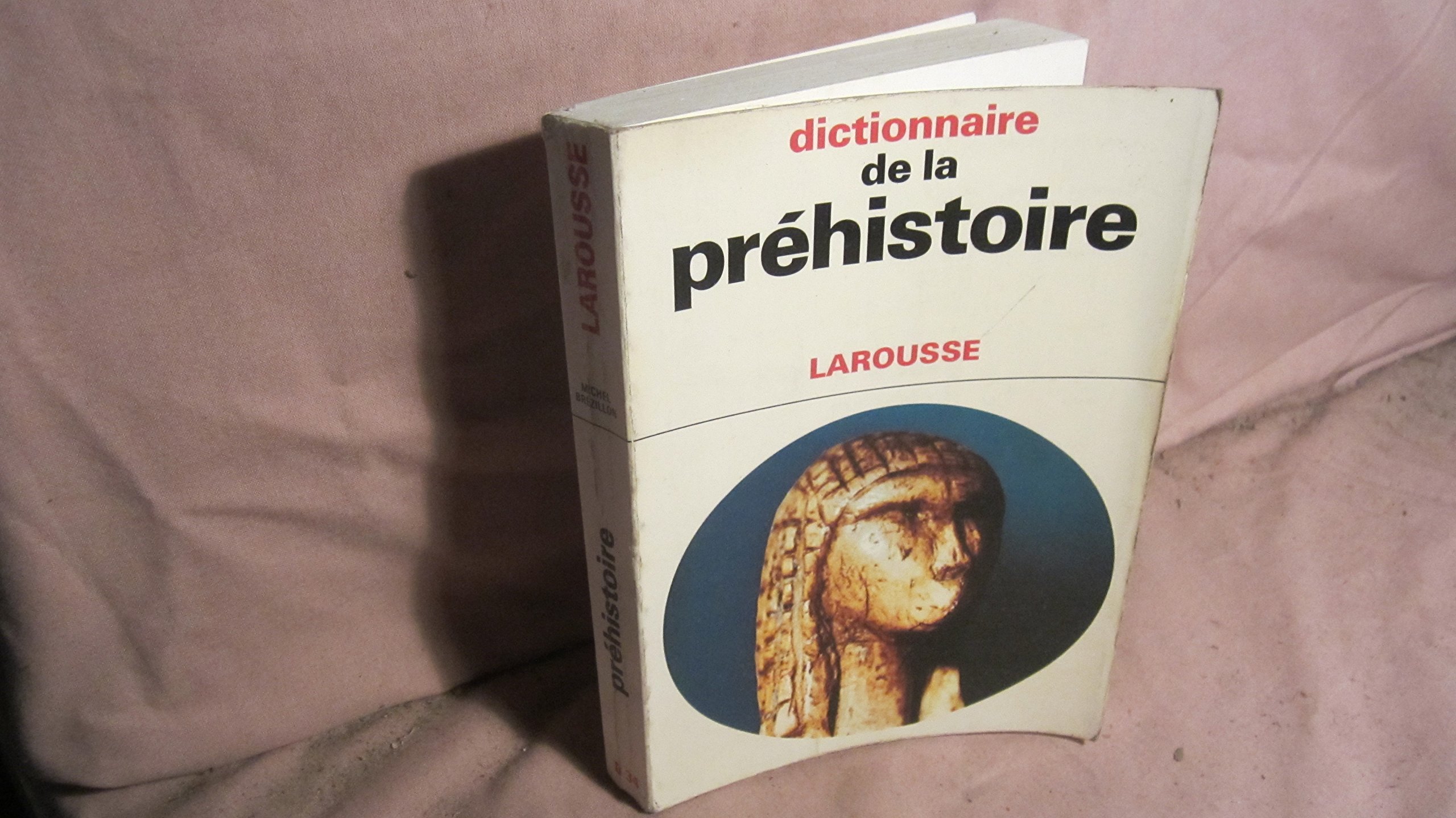Dictionnaire de la préhistoire