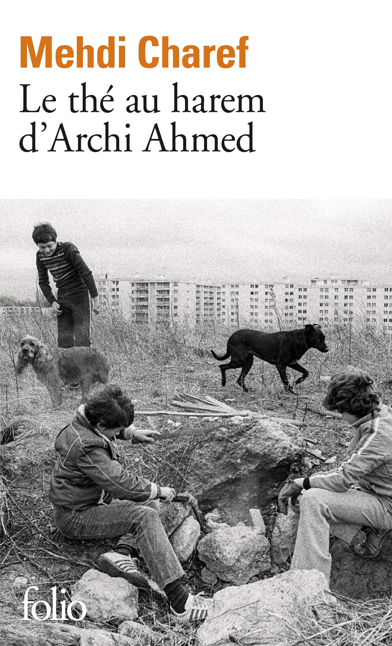 The The Au Harem D'archi Ahmed