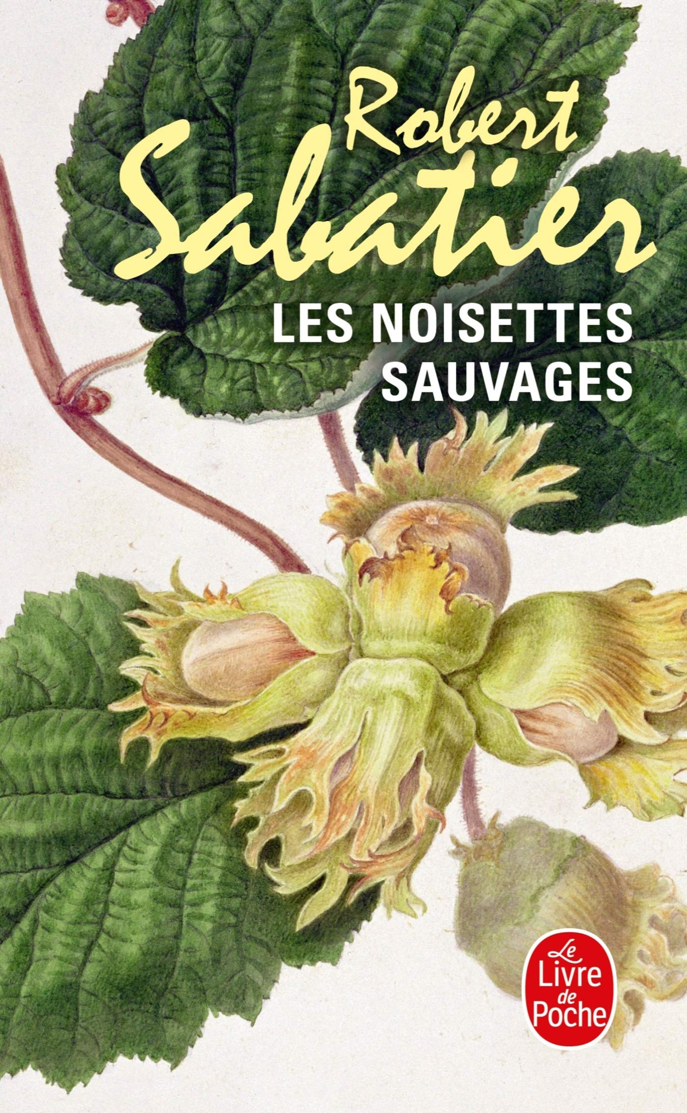 Les Noisettes Sauvages