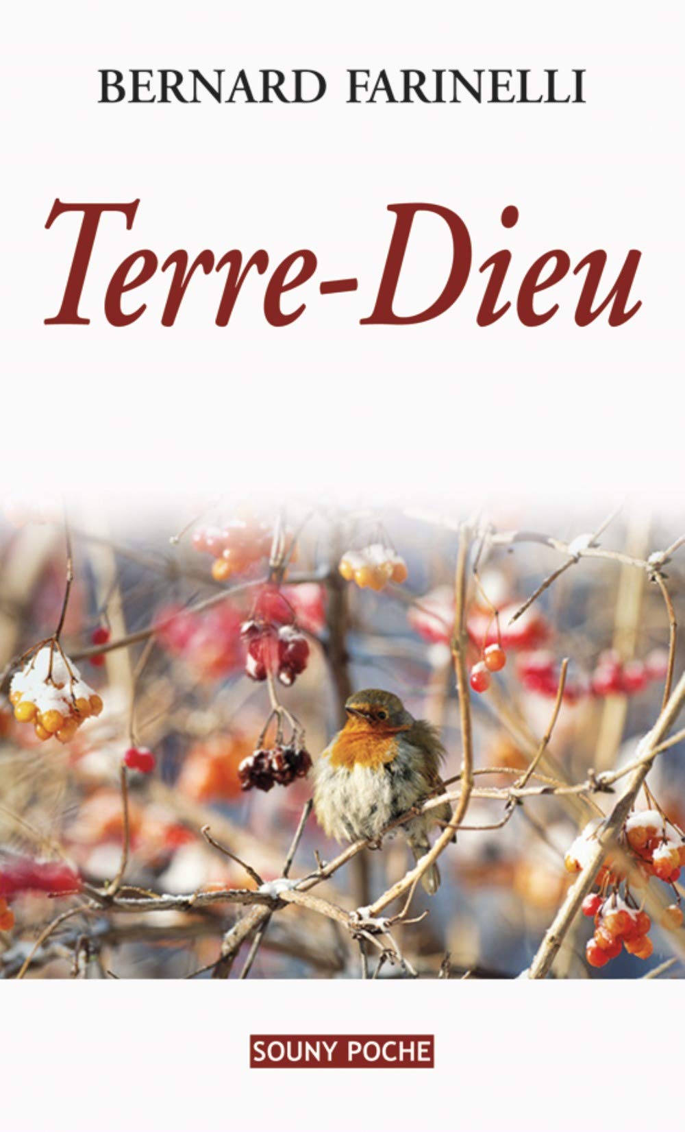 Terre-dieu