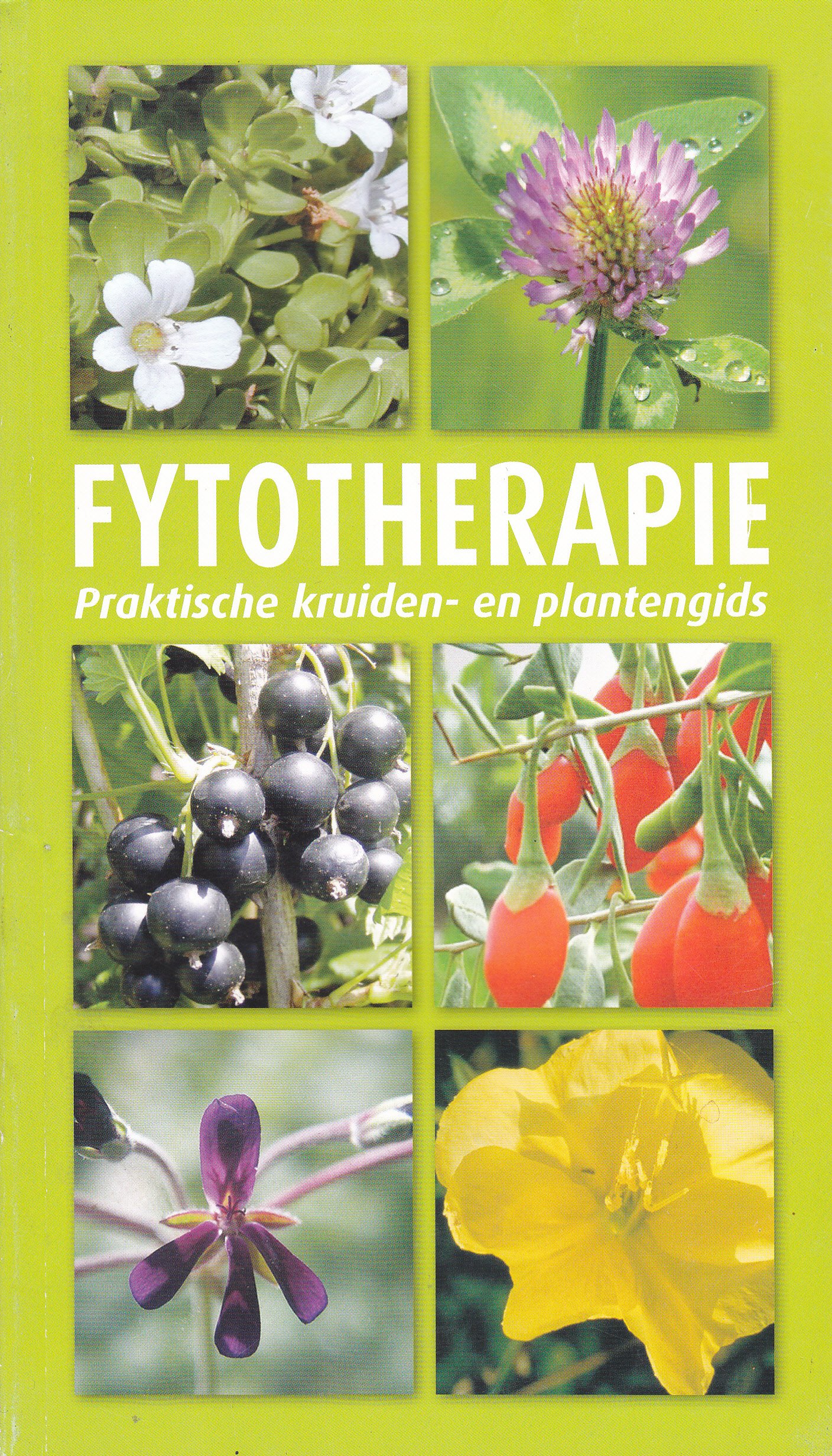 Fytotherapie