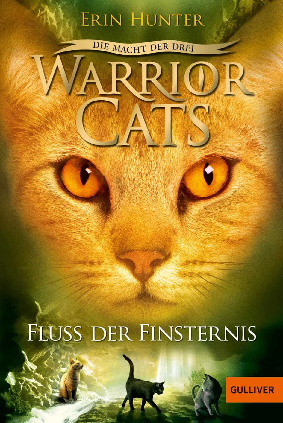 Warrior Cats - Die Macht Der Drei. Fluss Der Finsternis: Iii, Band 2