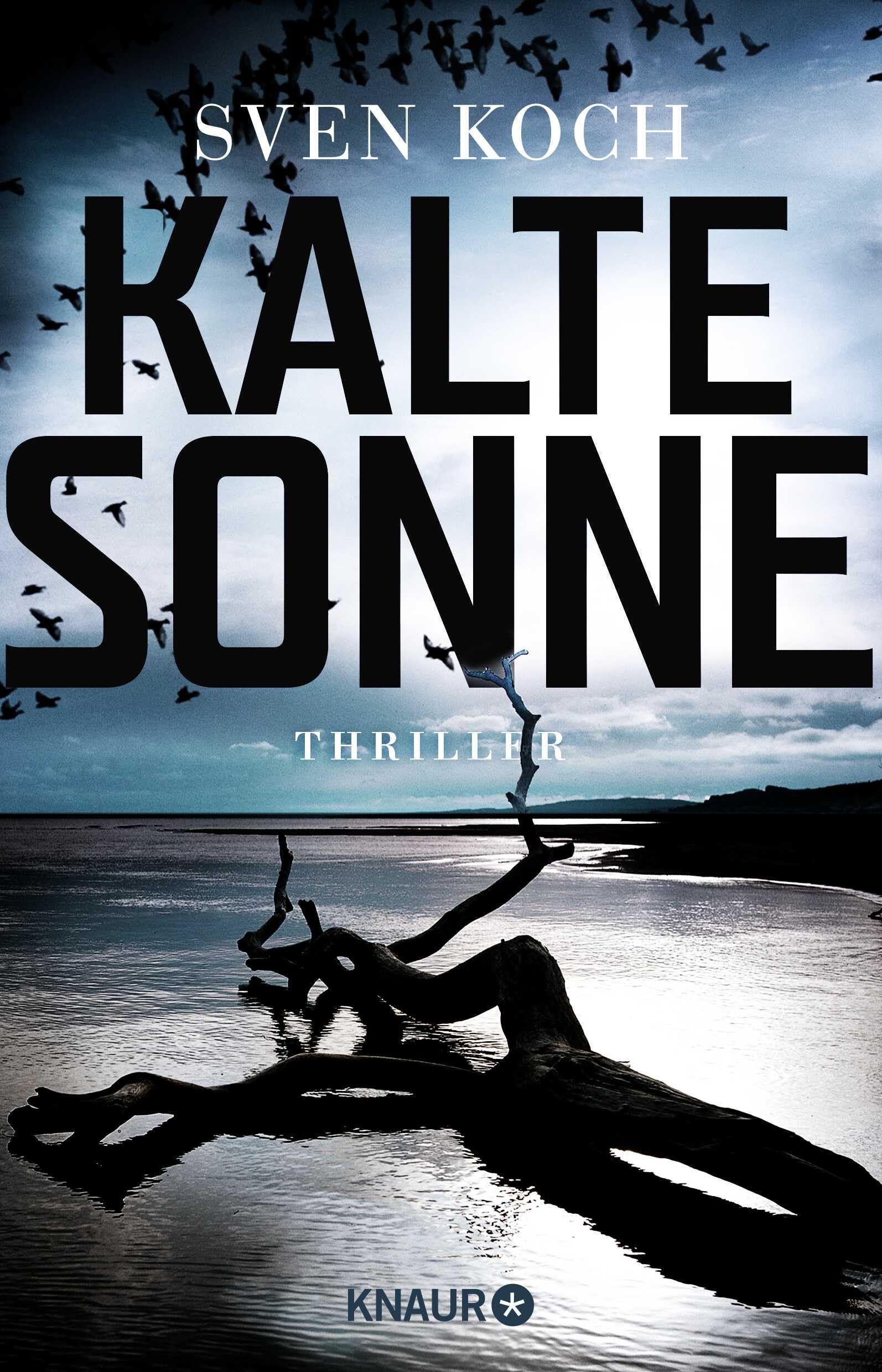 Kalte Sonne: Thriller