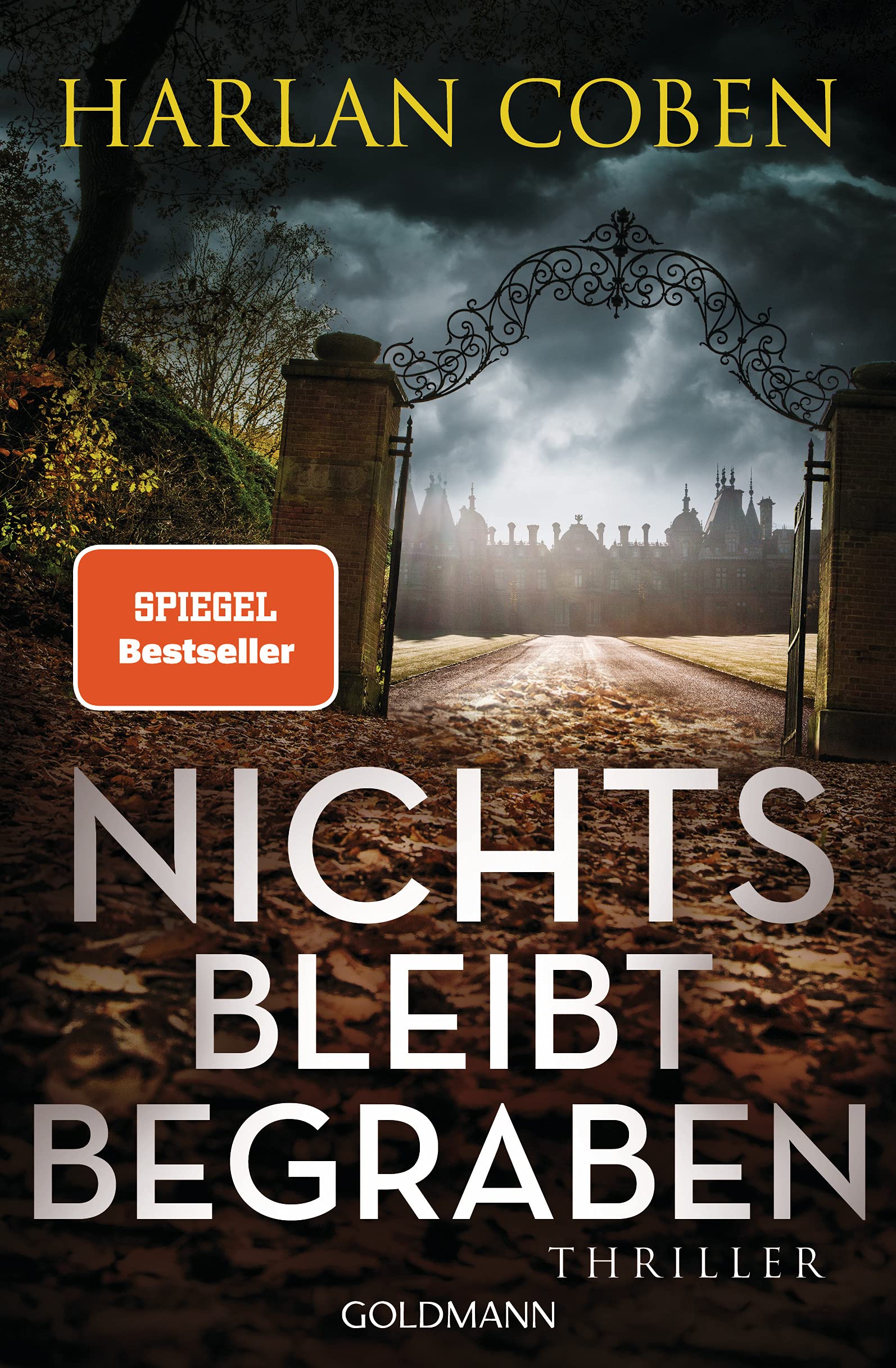 Nichts Bleibt Begraben: Thriller