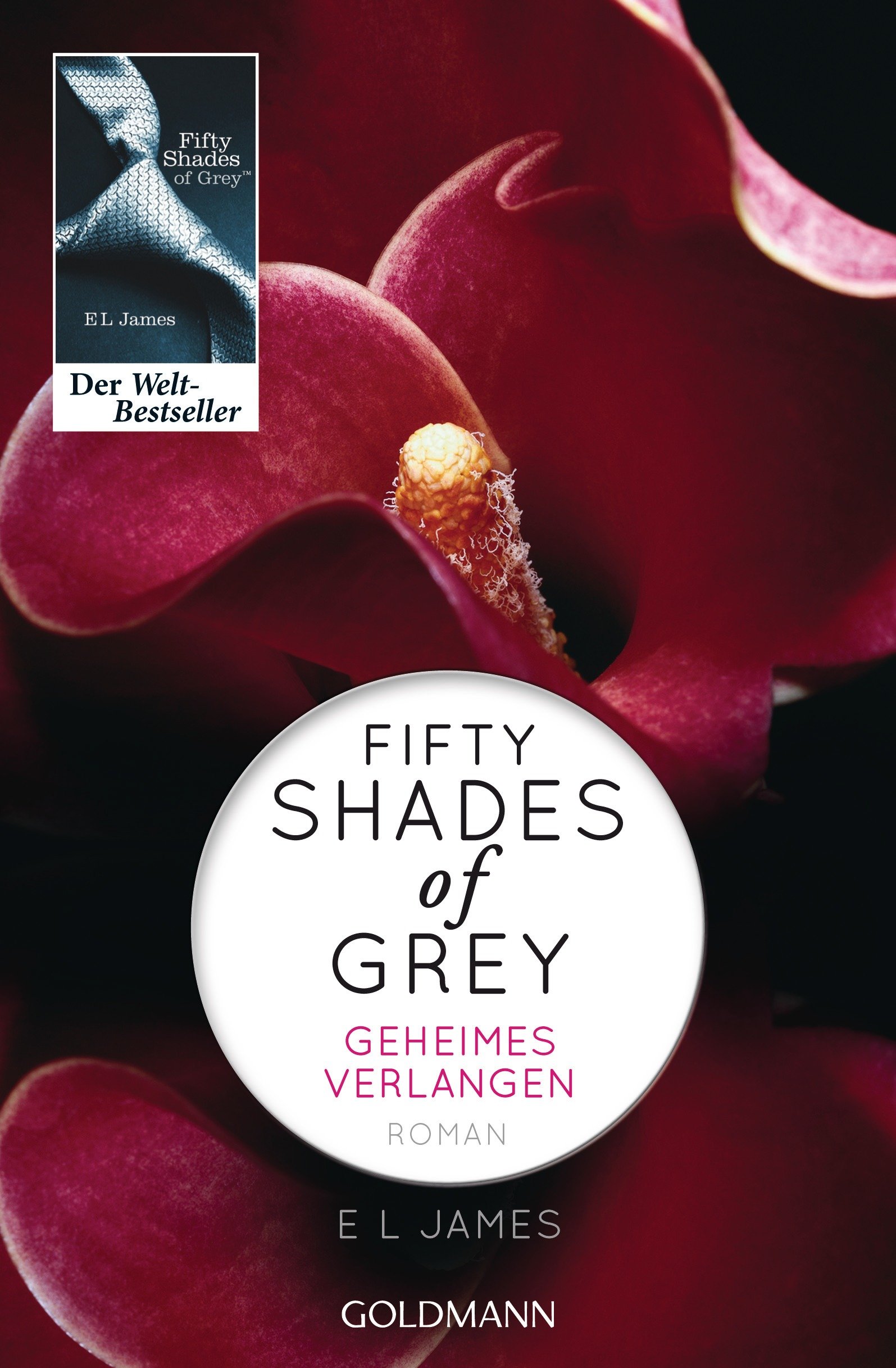 Shades of Grey 1/geheimes Verlangen: Roman