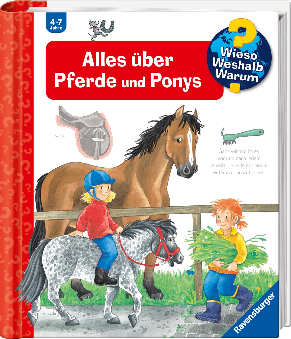 Alles Über Pferde Und Ponys