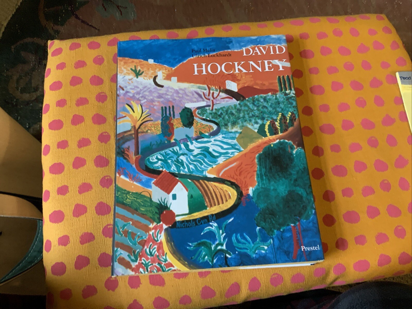 David Hockney: Paintings