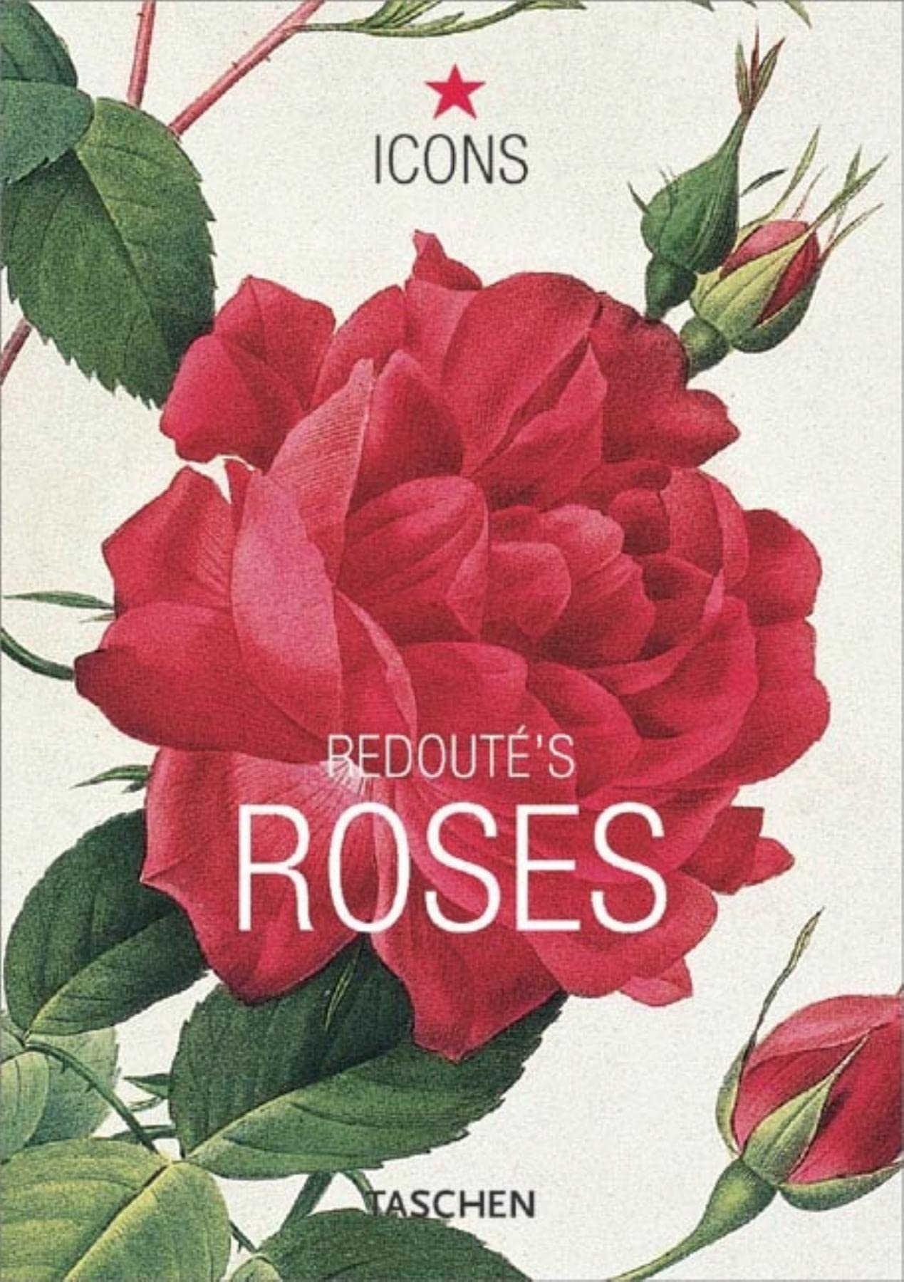 Redoute's Roses