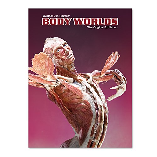 Body Worlds - The Original Exhibition