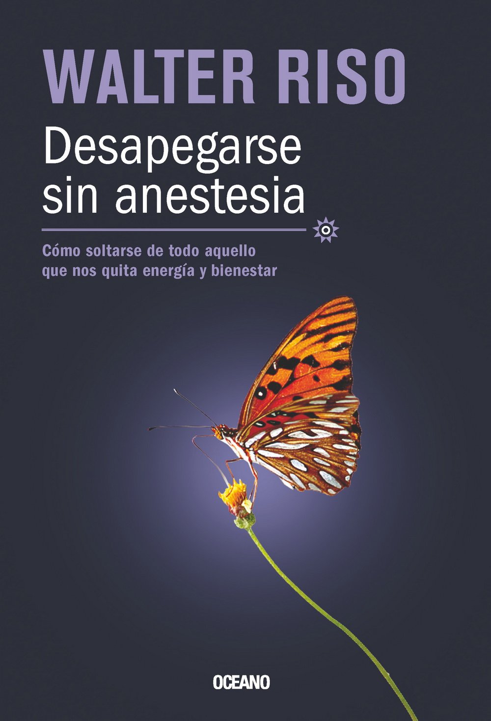 Desapegarse sin Anestesia: Cã³mo Soltarse de Todo Aquello Que Nos Quita Energã­a y Bienestar