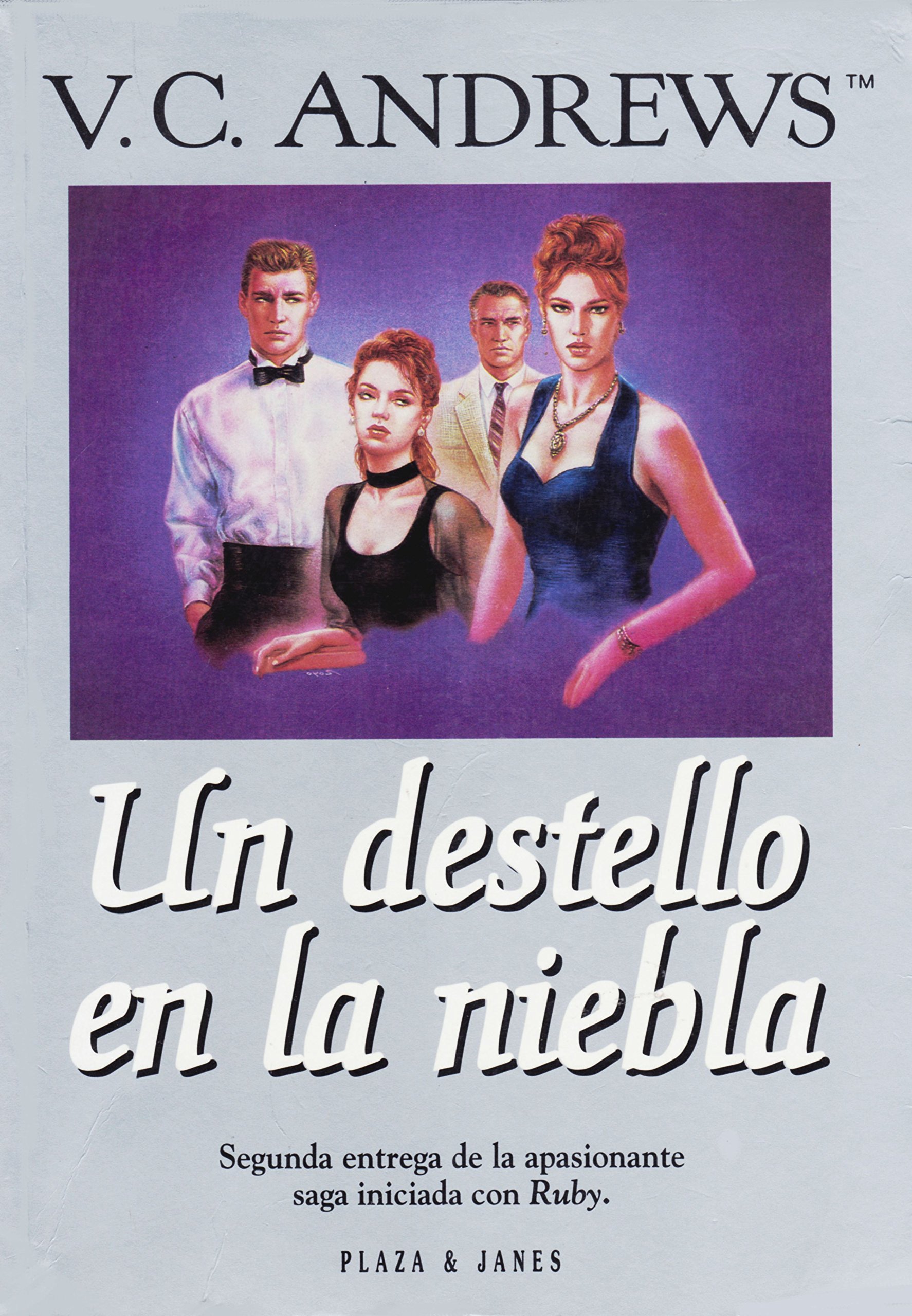 Un destello en la niebla