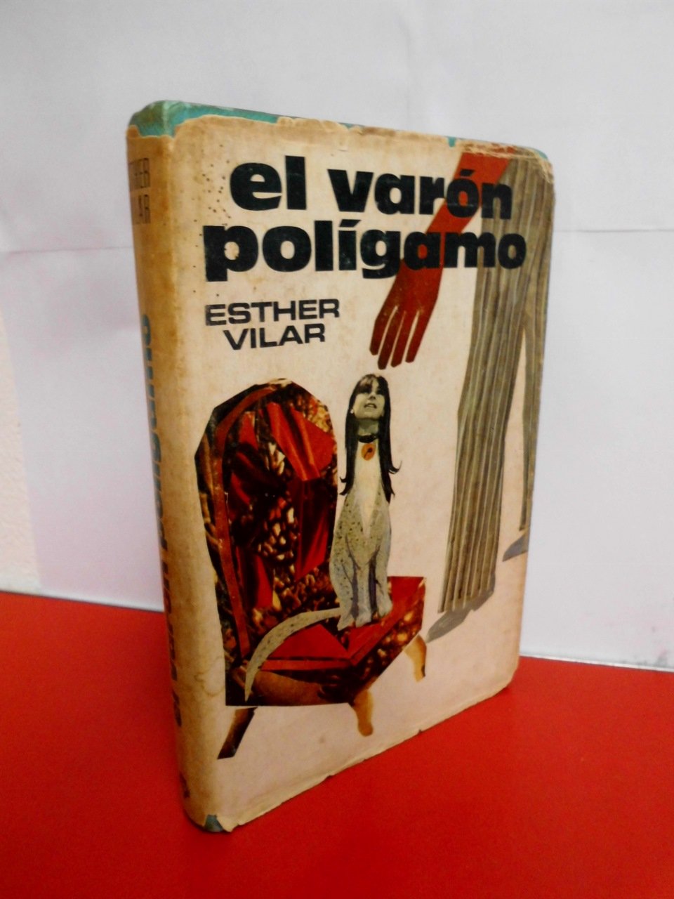 El Varon Poligamo