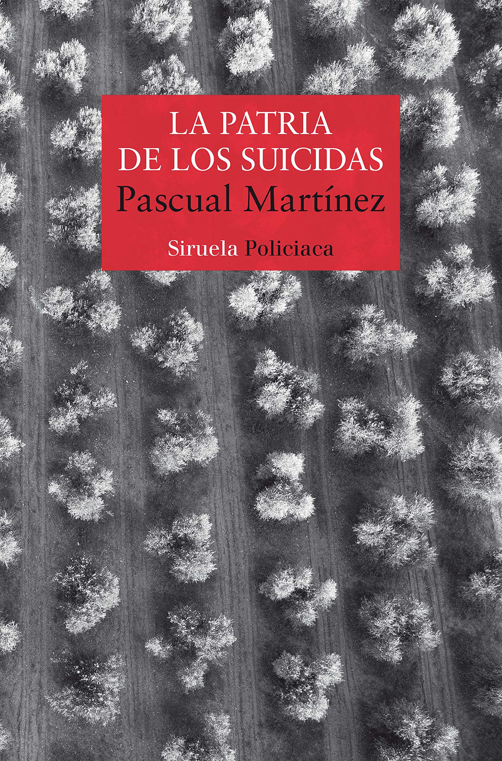 La Patria de los Suicidas, Martínez, Pascual