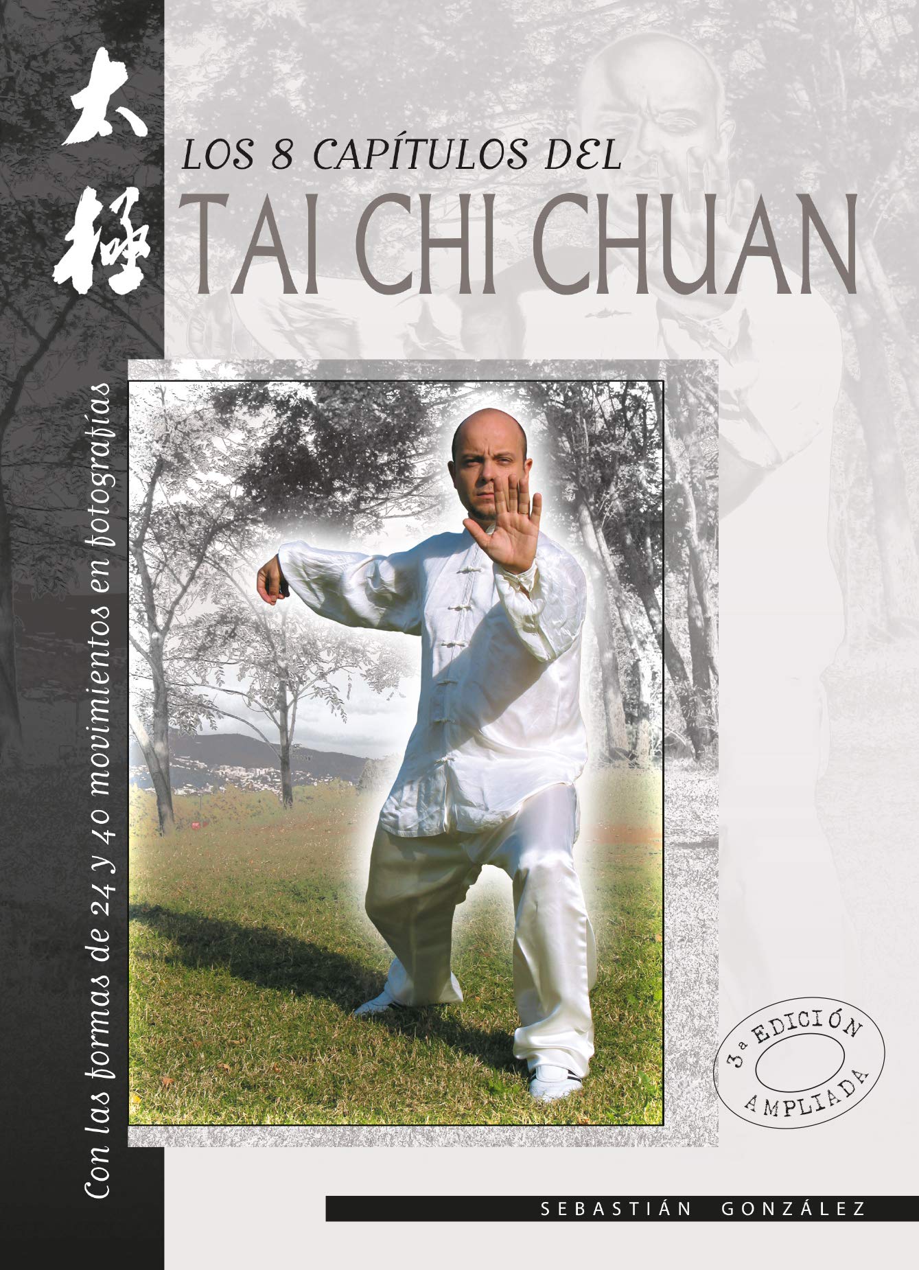 Ocho capítulos del Tai Chi Chuan, los