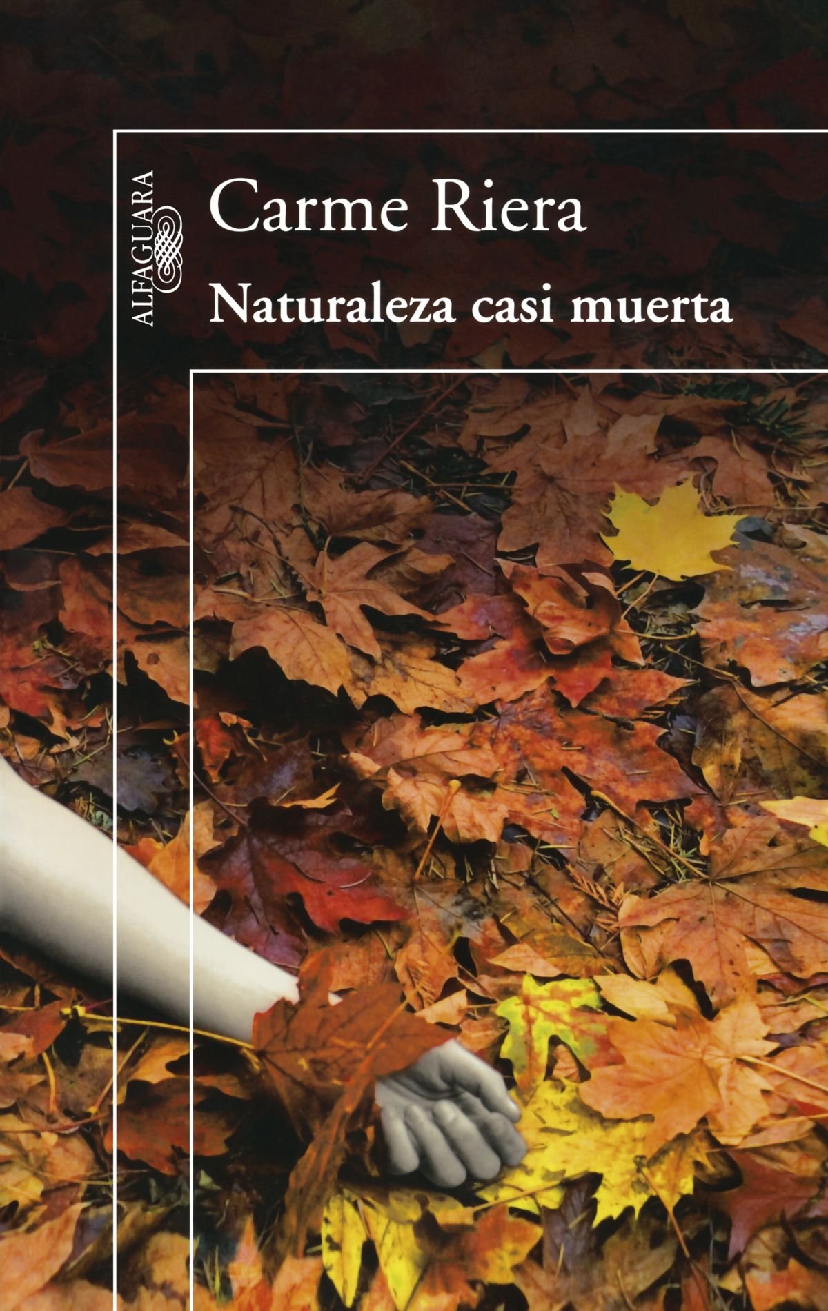 Naturaleza Casi Muerta