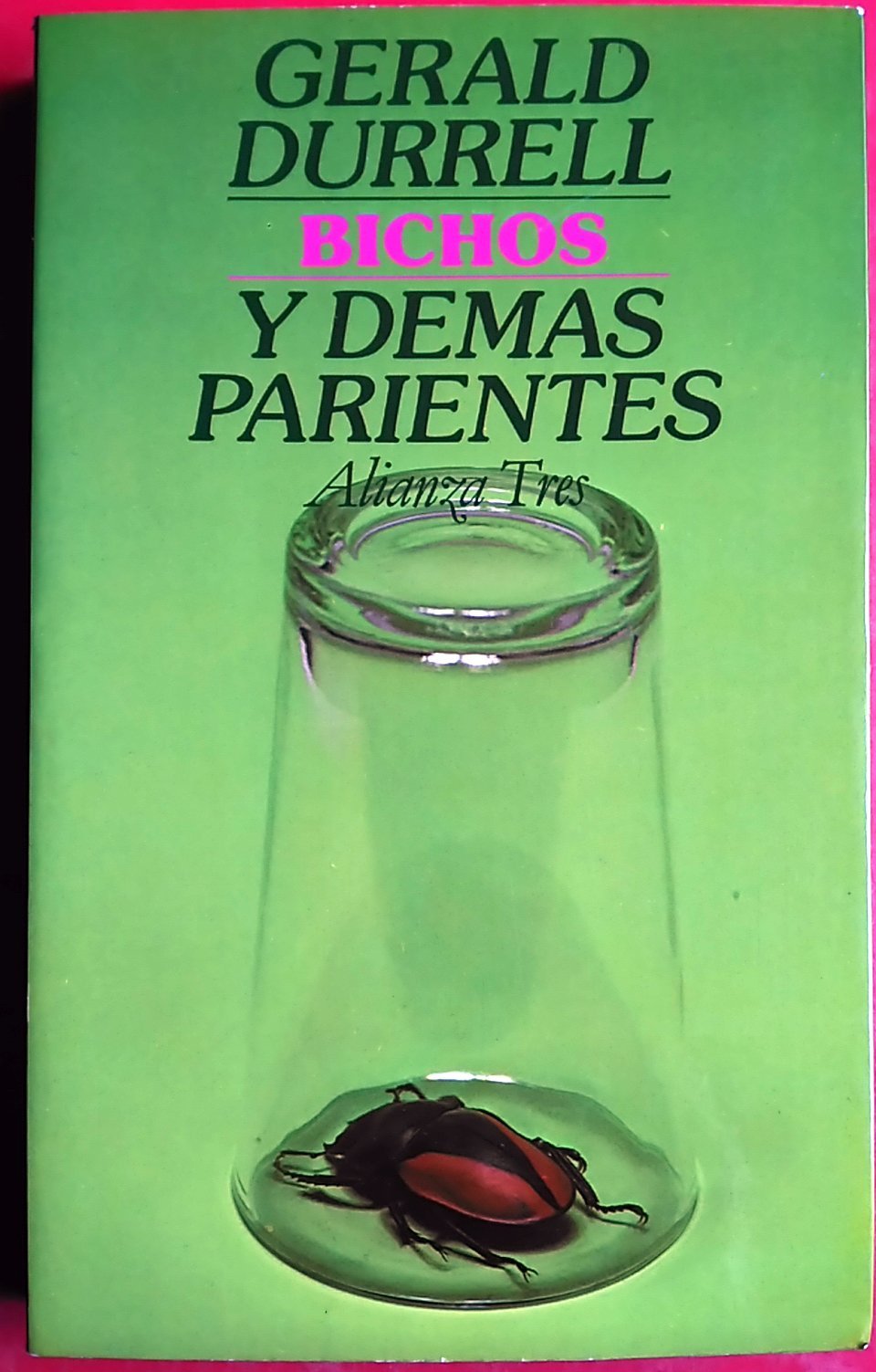 Bichos y Demas Parientes