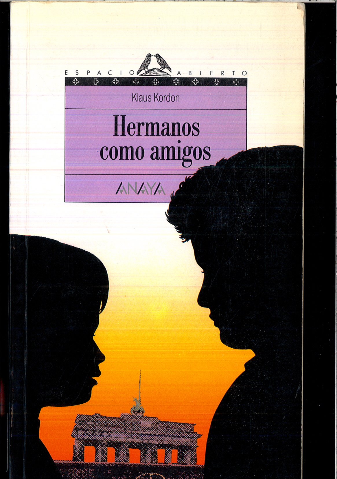 Hermanos como amigos