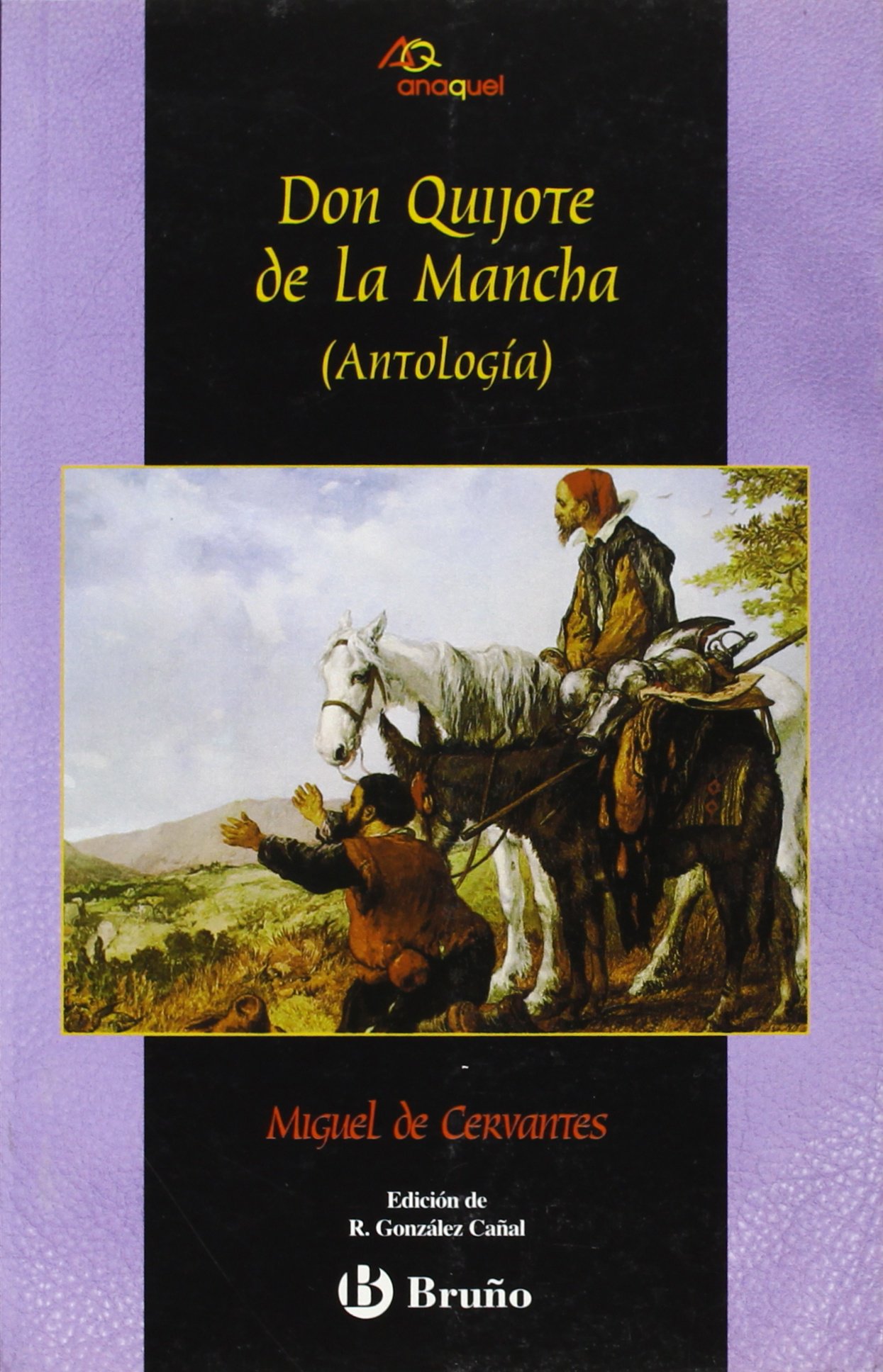 Don Quijote de la Mancha