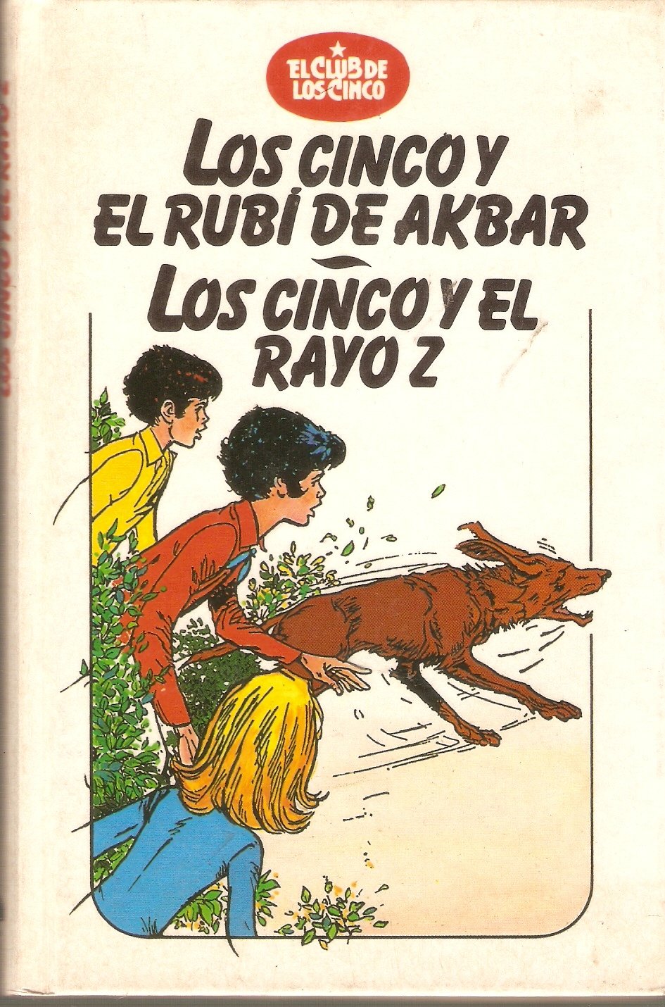 Los Cinco y el Rubi de Akbar - los Cinco y el Rayo Z