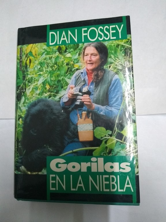 Gorilas en la niebla