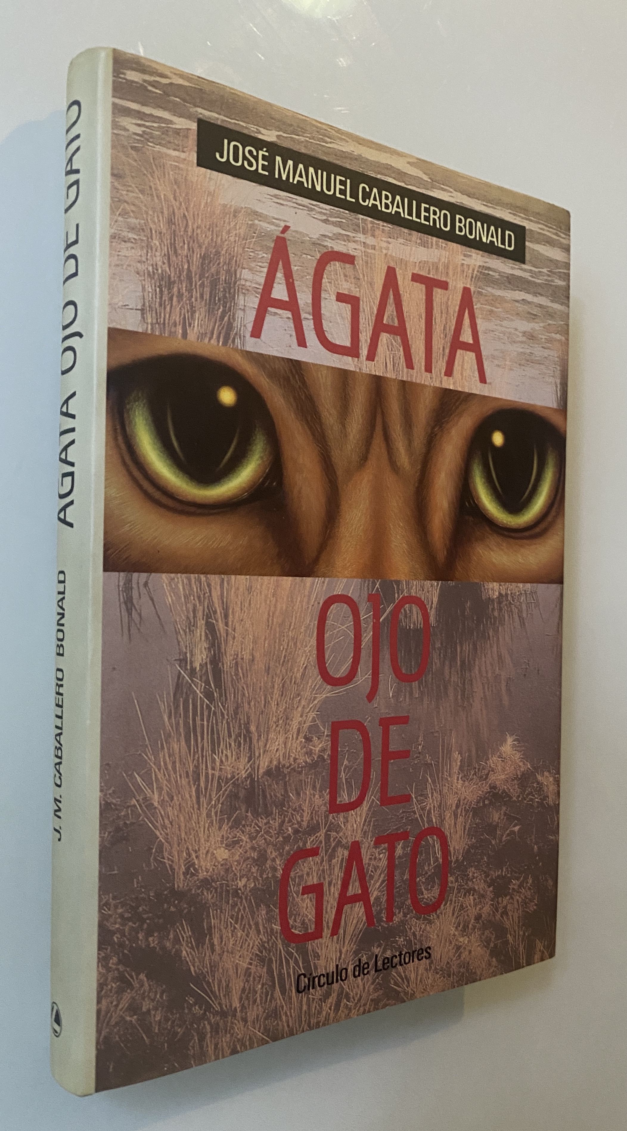Ágata ojo de gato
