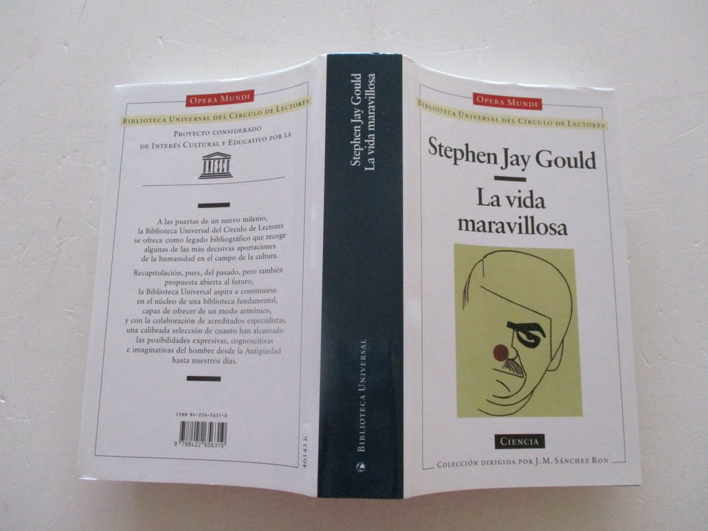 La vida maravillosa