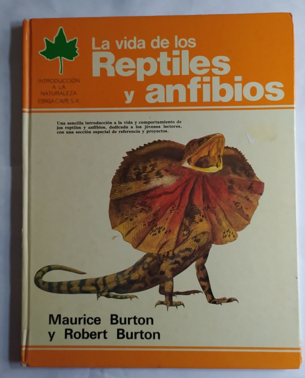La vida de los reptiles y anfibios
