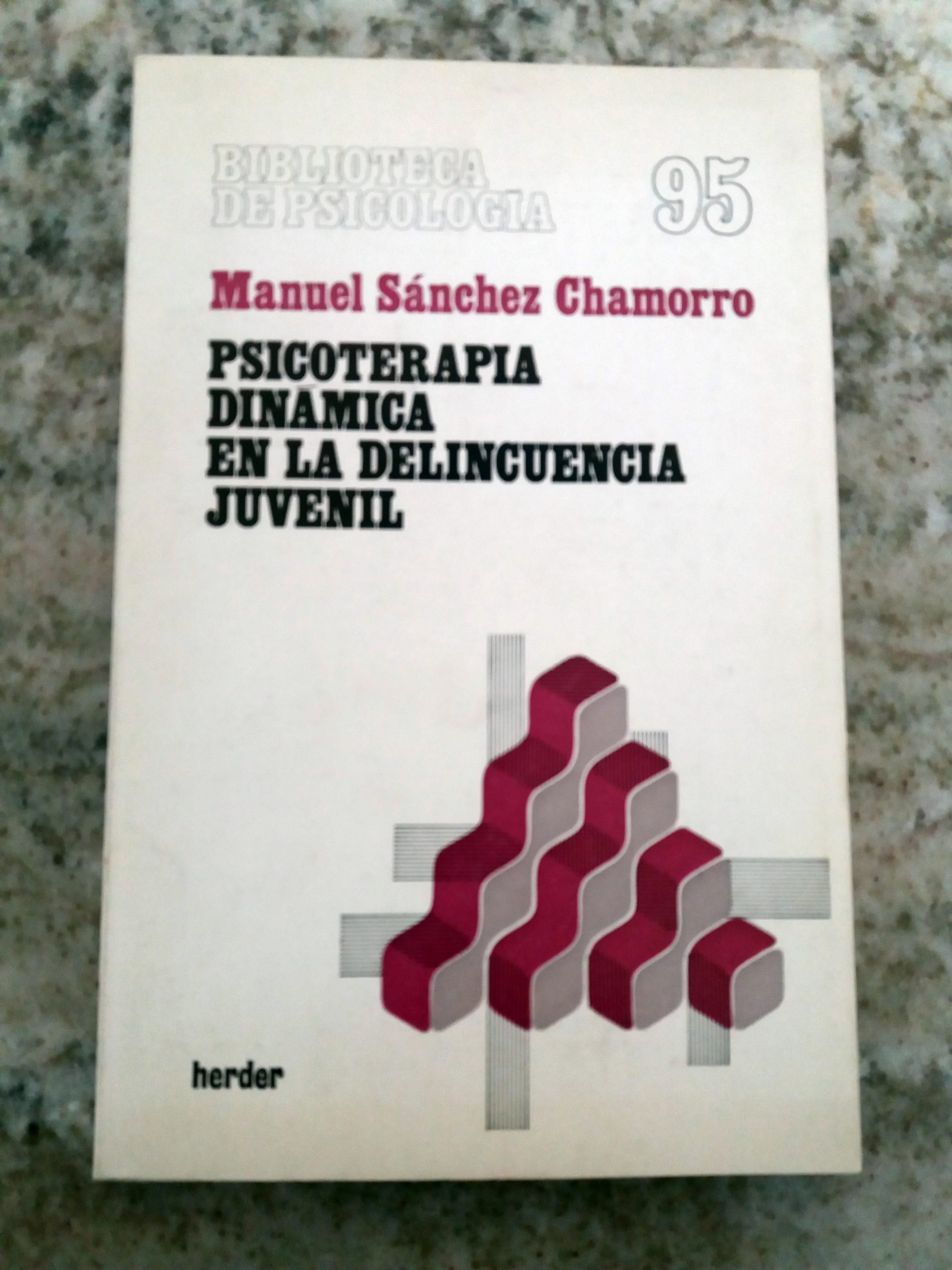 Psicoterapia dinámica en la delincuencia juvenil