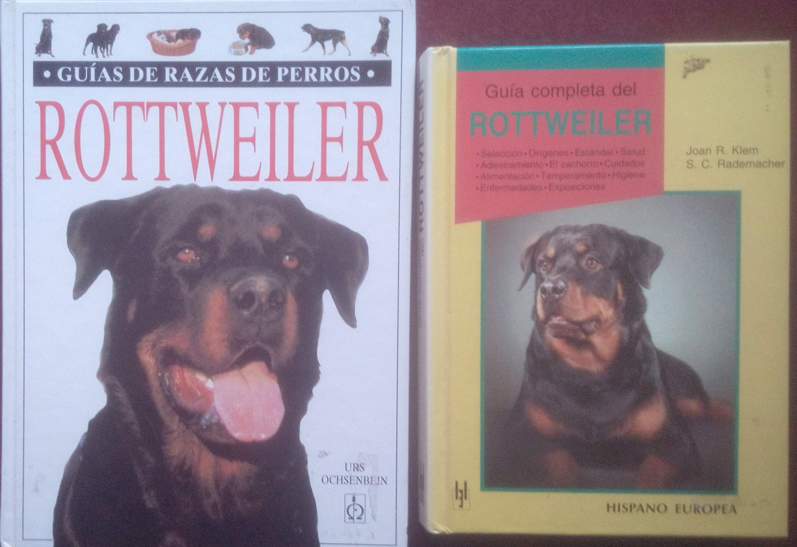 Guía completa del Rottweiler