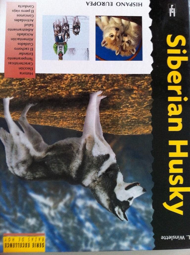 Siberian Husky