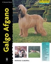 Galgo Afgano
