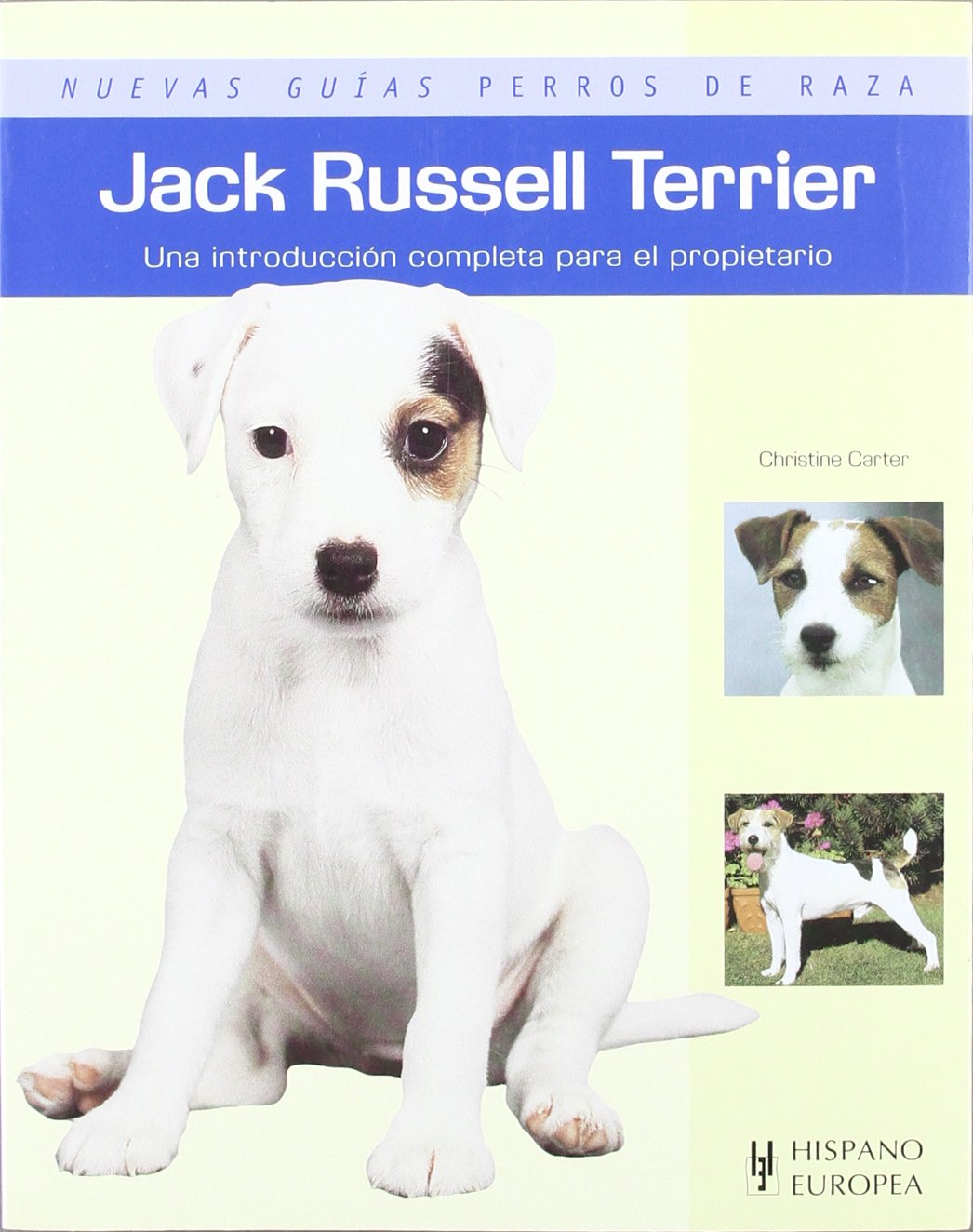 Jack Russell Terrier
