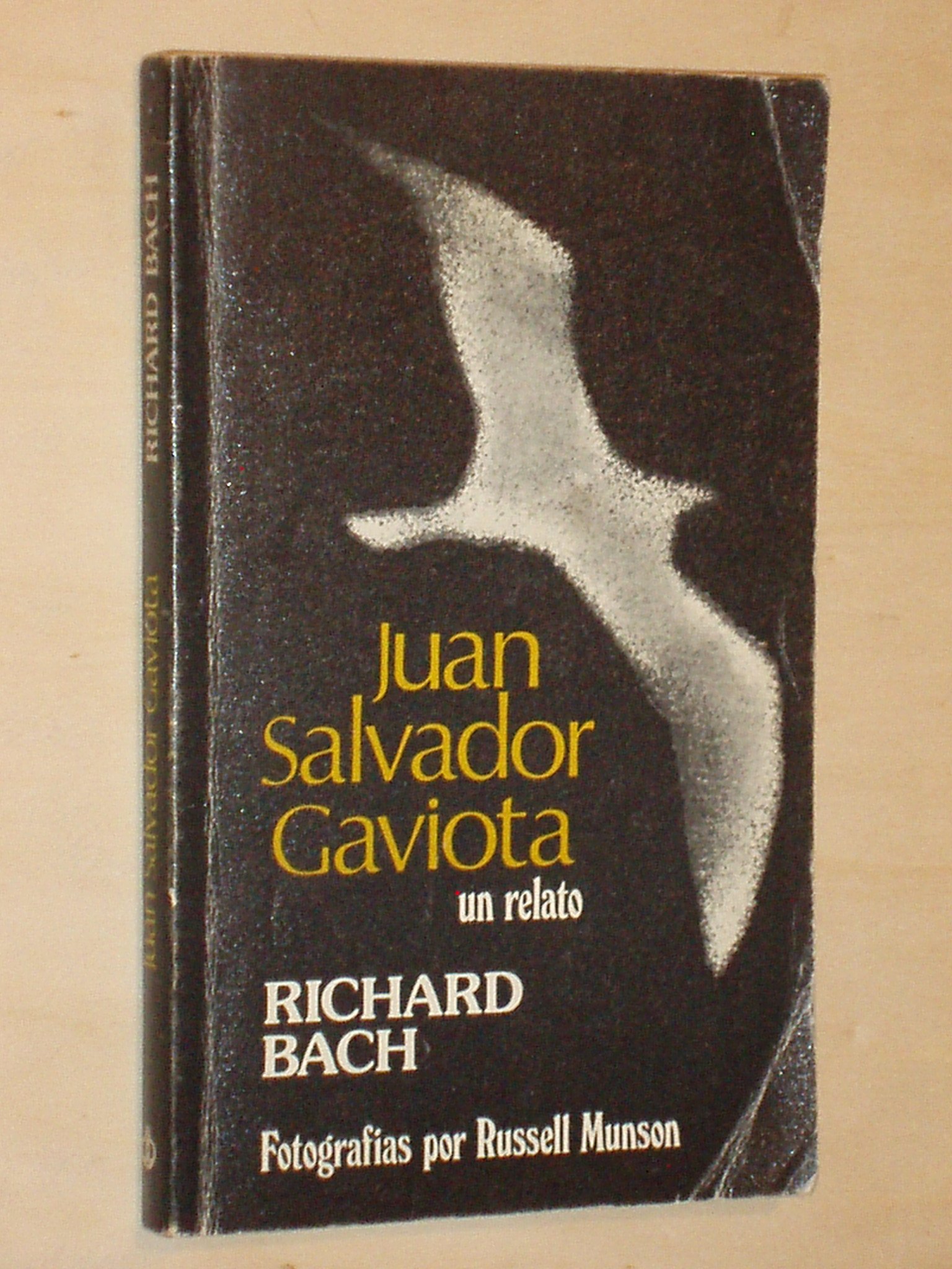 Juan Salvador Gaviota - Un Relato